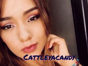 Cattleyacandy