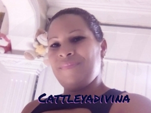 Cattleyadivina