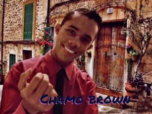 Chamo_brown