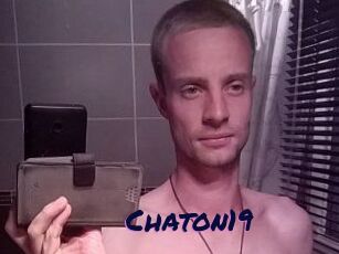 Chaton19