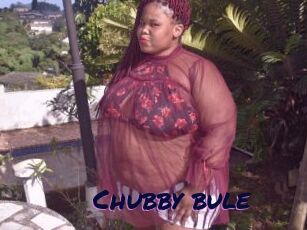 Chubby_bule