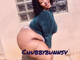 Chubbybunnsv