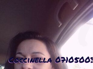 Coccinella-07105003