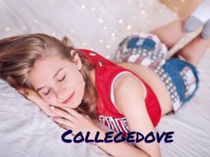 Collegedove