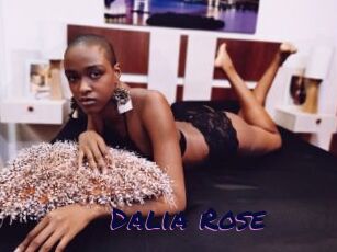 Dalia_Rose