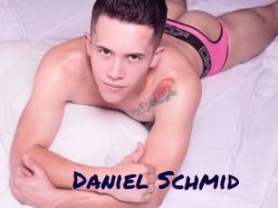 Daniel_Schmid