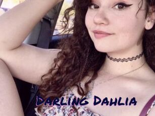 Darling_Dahlia