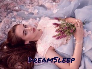 DreamSleep