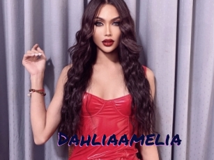 Dahliaamelia