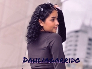 Dahliagarrido