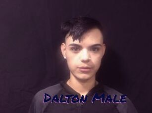 Dalton_Male