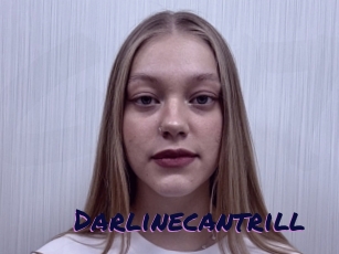 Darlinecantrill