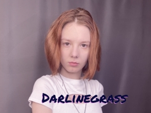 Darlinegrass