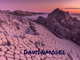 Davidhmodel