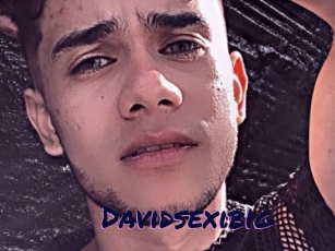 Davidsexibig