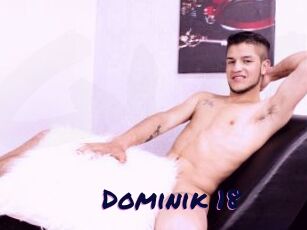 Dominik_18