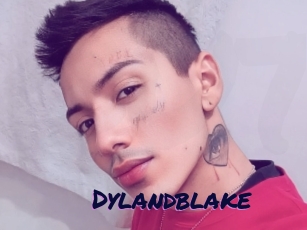 Dylandblake