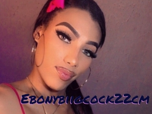 Ebonybiigcock22cm