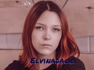 Elvinadagg