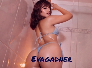 Evagadner