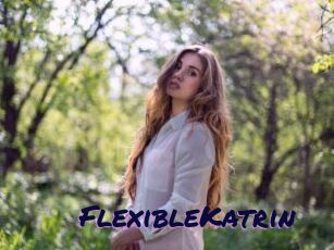 FlexibleKatrin