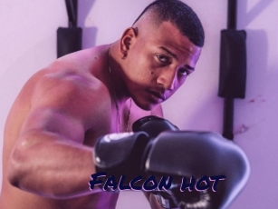 Falcon_hot