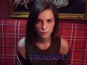 Felicecat