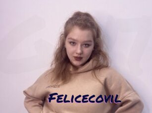 Felicecovil