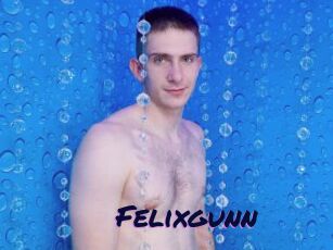 Felixgunn