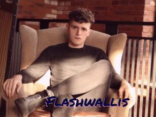 Flashwallis