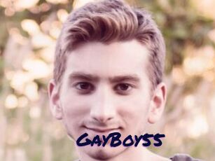 GayBoy55