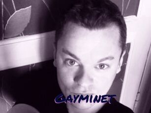 Gayminet