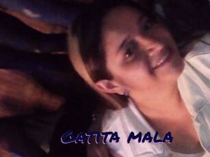 Gatita_mala