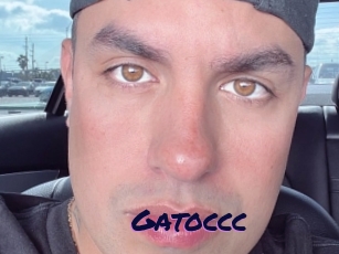 Gatoccc