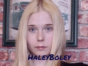 HaleyBoley