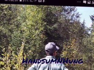 HandsumNHung