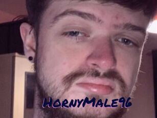 HornyMale96