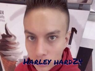 Harley_hard24