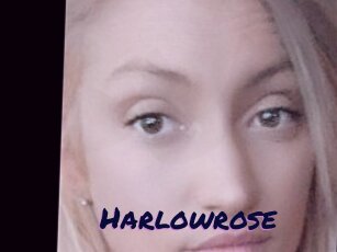 Harlowrose