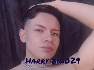 Harry_big029