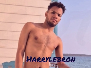 Harrylebron