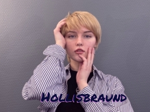 Hollisbraund