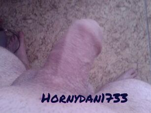 Hornydan1733