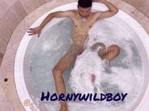 Hornywildboy