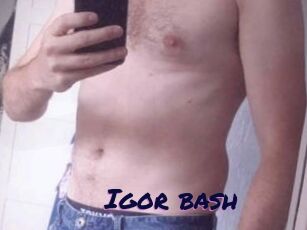 Igor_bash