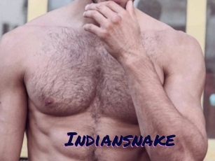 Indiansnake