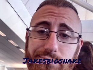 Jakesbigsnake