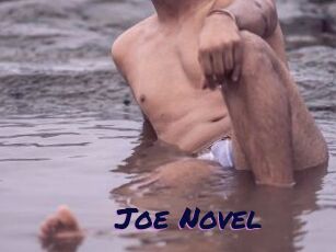 Joe_Novel