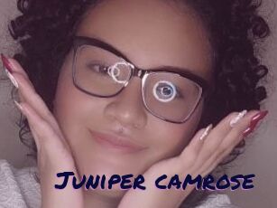 Juniper_camrose