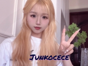 Junkocece